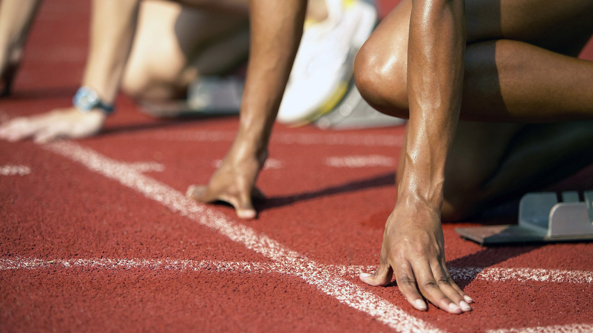 哥伦比亚马术协会举办国际马术科技大会，推动行业技术交流与合作。