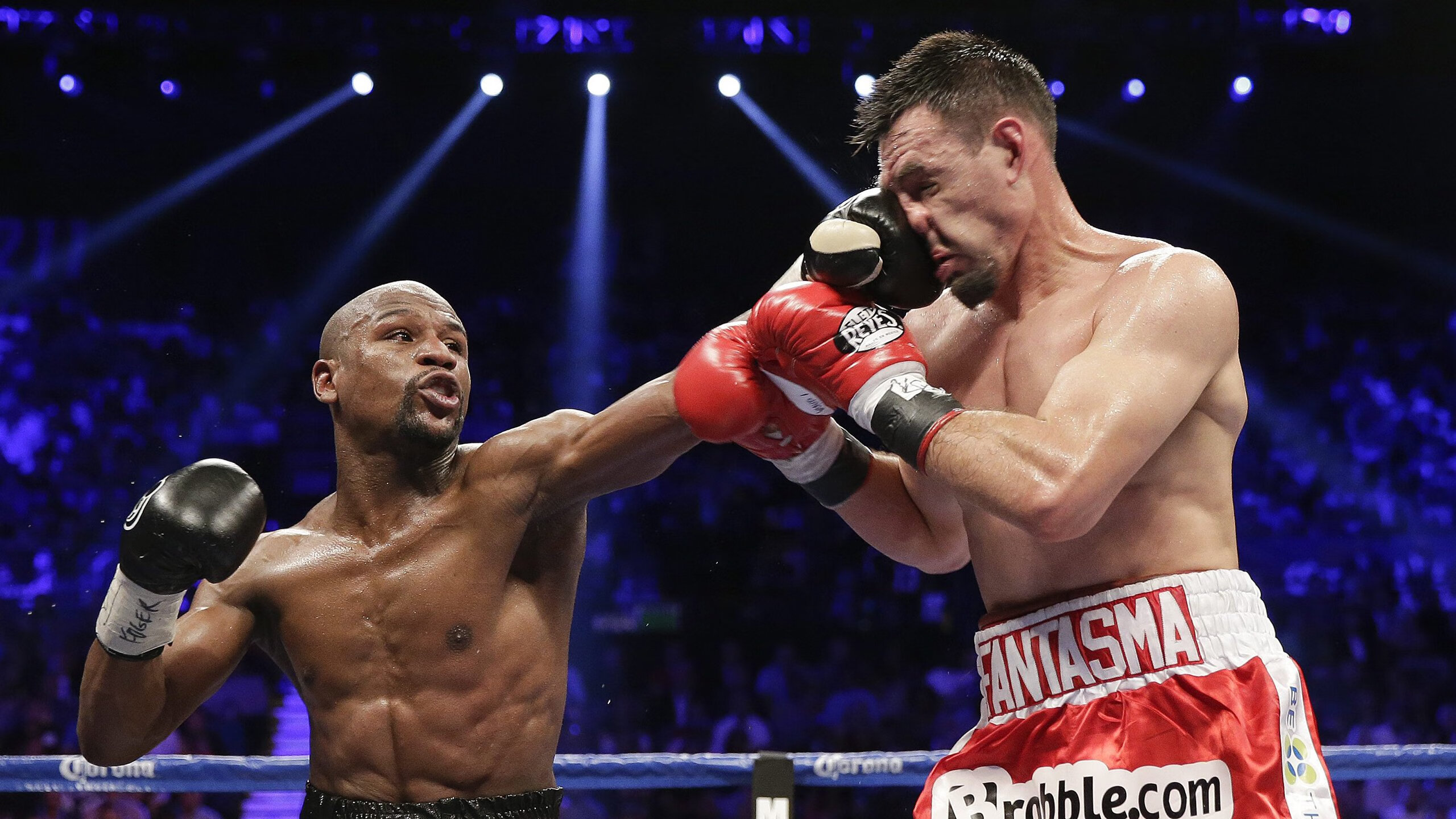 Palmer表现稳健，有望入选国家队