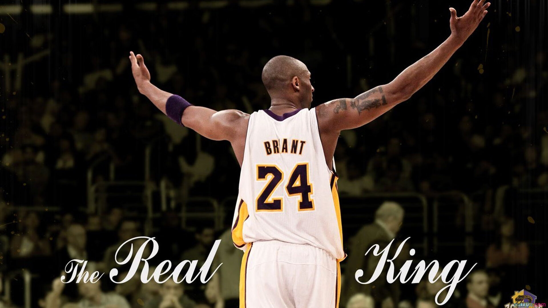 全运会志愿者培训展现青年风采，全运会志愿者培训累不累